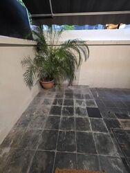 Fernhill Road (D10), Semi-Detached #635344941
